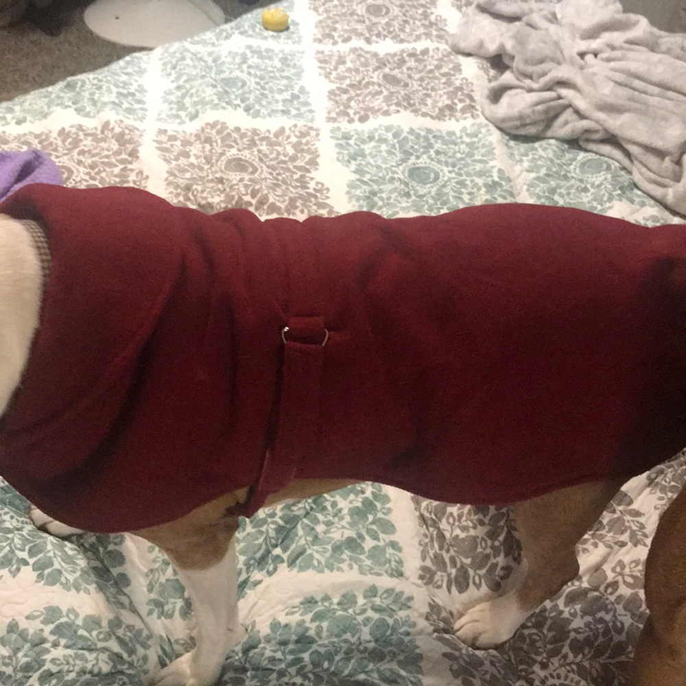 Red pet coat